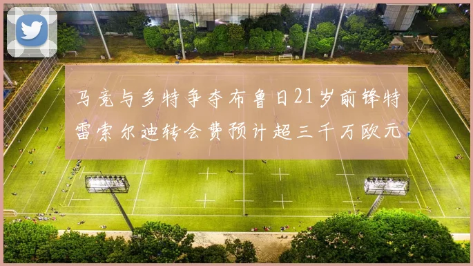 马竞与多特争夺布鲁日21岁前锋特雷索尔迪转会费预计超三千万欧元